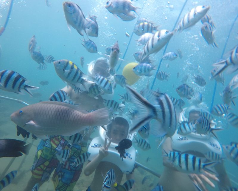 Cham Island: Underwater Walking & Snorkeling Tour - What the $68 Cham Island outing actually gives you
