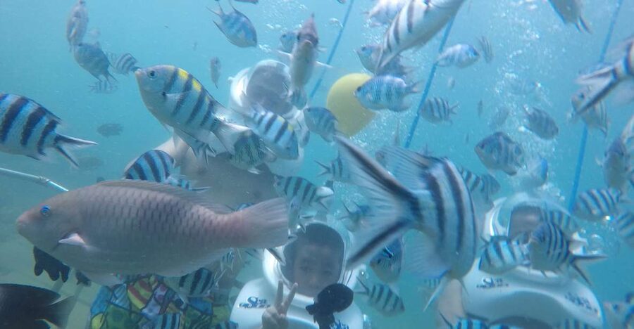 Cham Island: Underwater Walking & Snorkeling Tour - Leaving Cua Dai Wharf for Cham Island