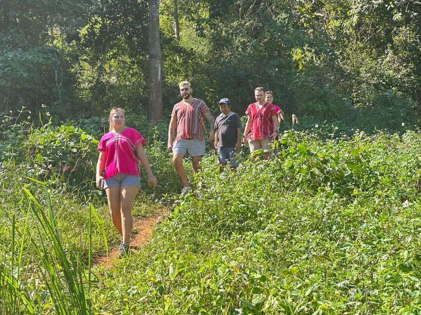 Chiang Mai Untouched Elephant: Nature Walk & Waterfall Trek - Who should book this experience?