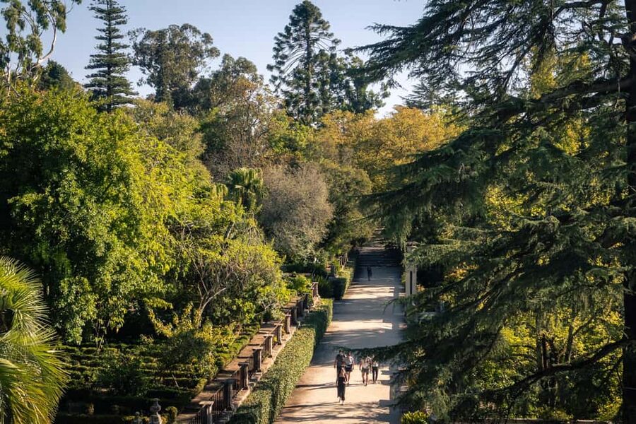 Coimbra: Private & Flexible Walking Tour in Historic Center - University of Coimbra and the Joanina Library