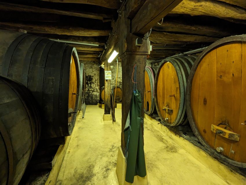 Colmar: Highlights Walking Tour and Wine Tasting - French and German influences without a dull history lecture