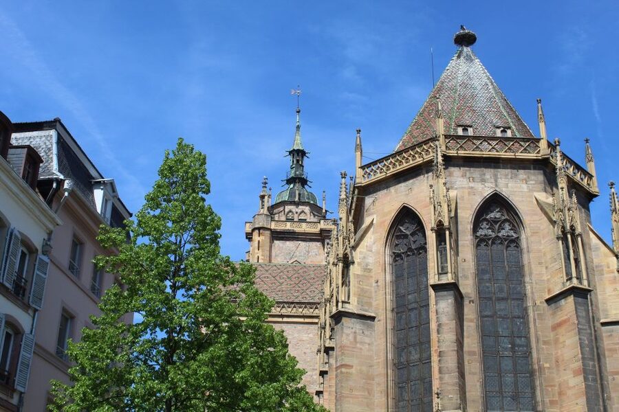 Colmar: Highlights Walking Tour and Wine Tasting - What makes Alsatian wine worth understanding