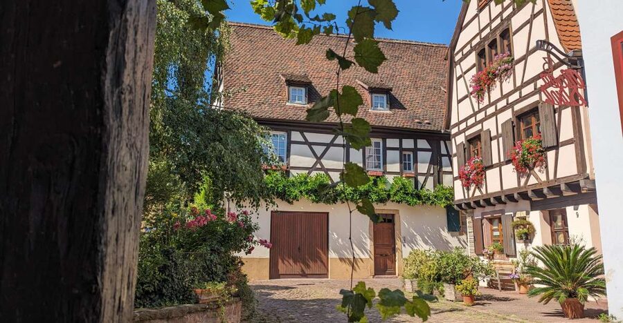 Colmar: Unusual Walking Tour with a local guide - Key points to know before you book