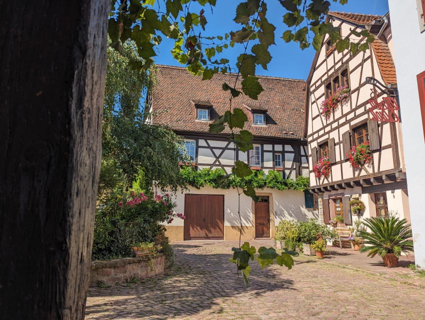 Colmar: Unusual Walking Tour with a local guide - Starting at the Bruat Fountain in Champ de Mars