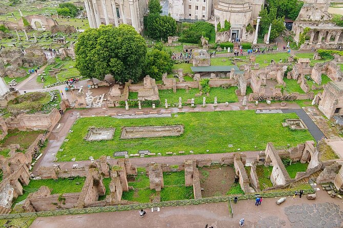 Colosseum & Ancient Rome Guided Walking Tour - Palatine Hill and Rome’s legendary beginning