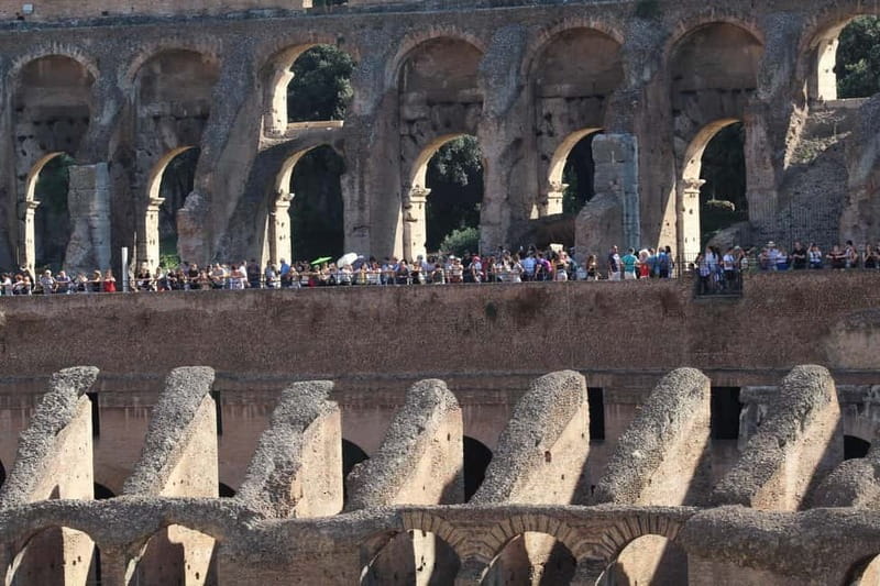 Colosseum, Forum & Palatine Hill Guided Walking tour - Key points to know before booking