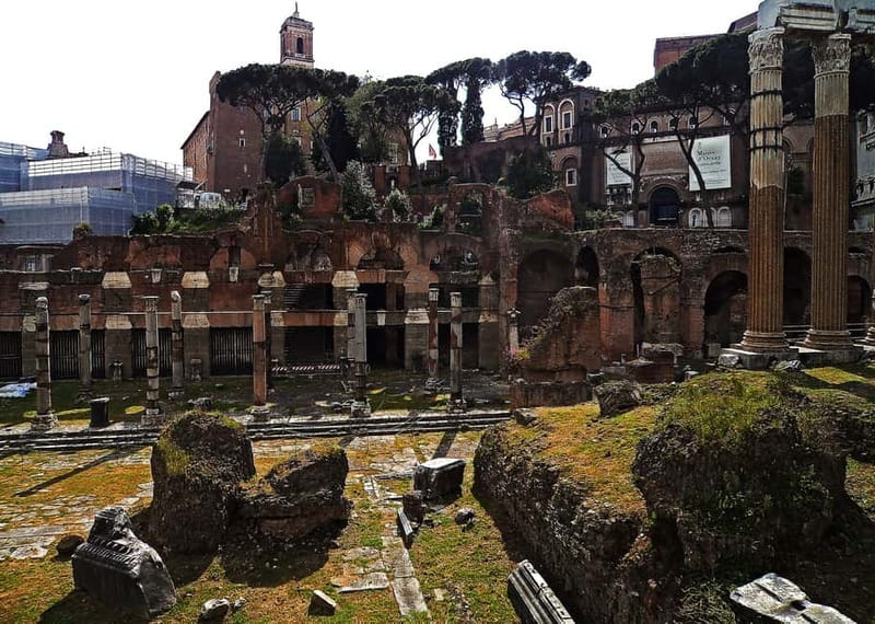 Colosseum, Forum & Palatine Hill Guided Walking tour - Climbing Palatine Hill for Rome’s founding story