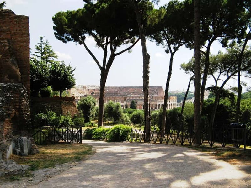 Colosseum, Forum & Palatine Hill Guided Walking tour - Timing, weather, and what to carry
