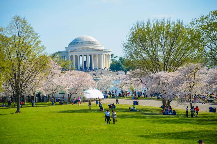 DC: Hop-On Hop-Off with 17 Stops plus Arlington Walking Tour - Key points to know before you book