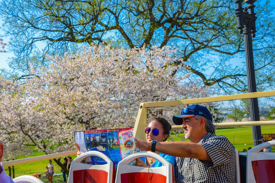DC: Hop-On Hop-Off with 17 Stops plus Arlington Walking Tour - The upper deck is the best seat, with a few conditions