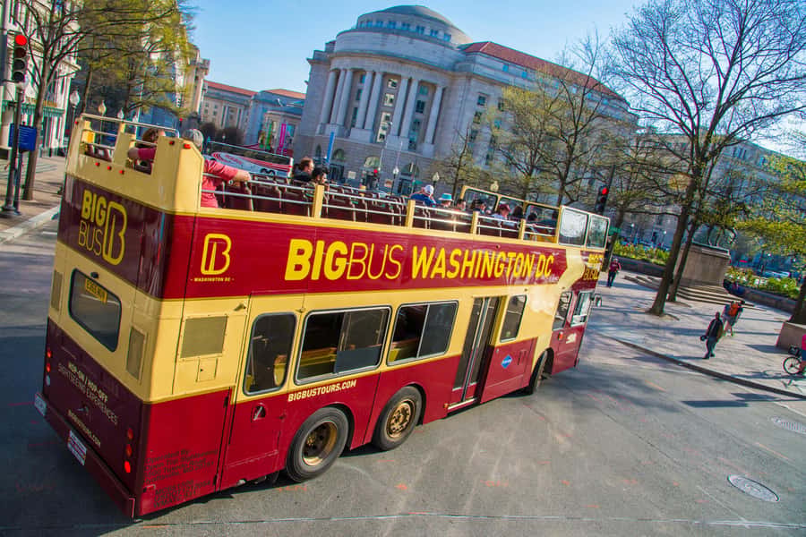 DC: Hop-On Hop-Off with 17 Stops plus Arlington Walking Tour - Extra benefits can improve the value
