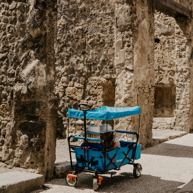 Discover Pompeii: French Walking Tour of the Buried City - Key points to know before booking