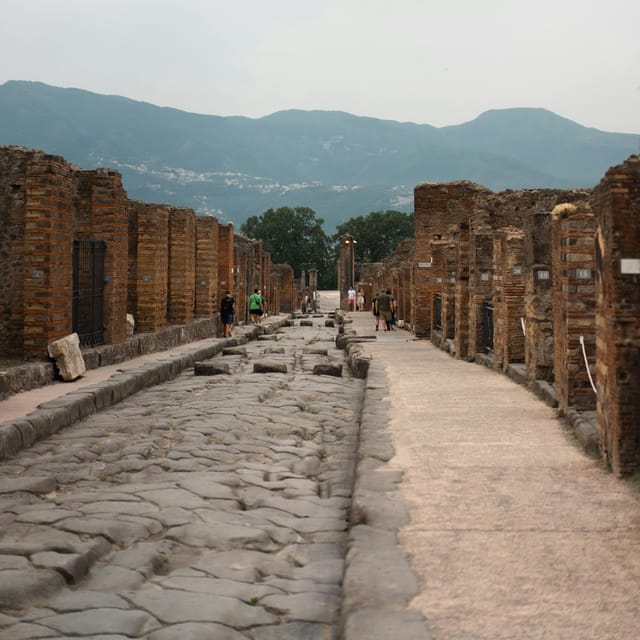 Discover Pompeii: French Walking Tour of the Buried City - Who will get the most from this tour?
