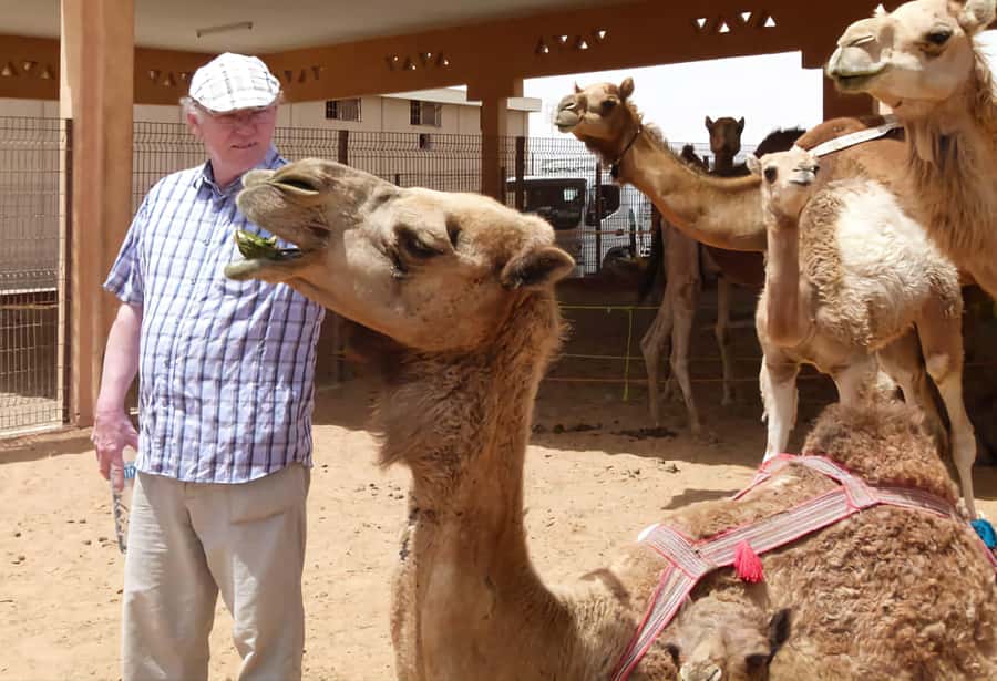 Dubai: Old City Walking Tour with Abra Ride - Al Fahidi and Al Bastakiya: wind towers and quiet lanes
