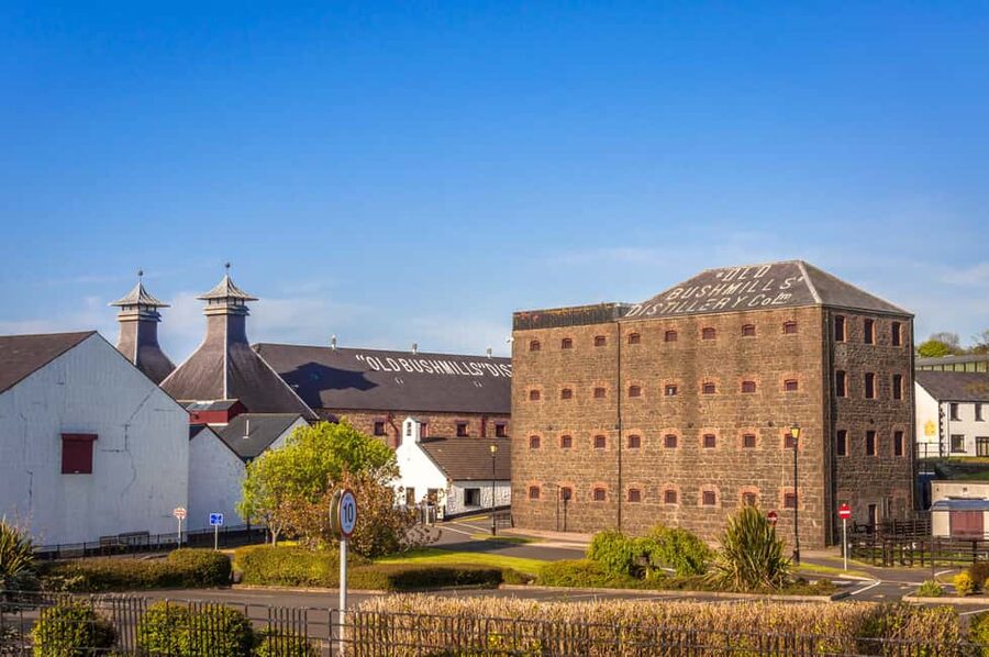 Dublin: Belfast Walk, Dunluce Castle & Giant’s Causeway - Who should book this experience