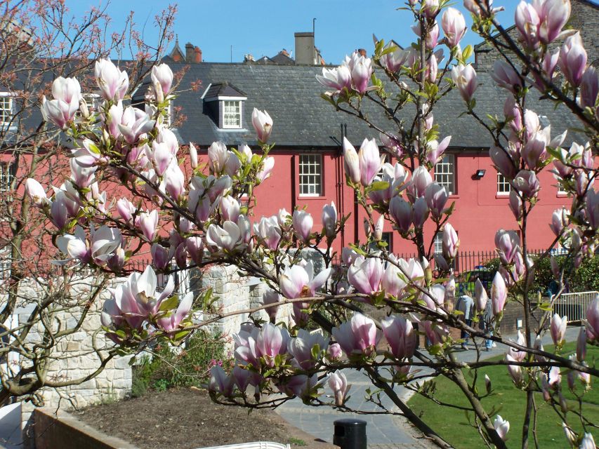 Dublin: Highlights and Hidden Corners Walking Tour - Christ Church and the medieval streets