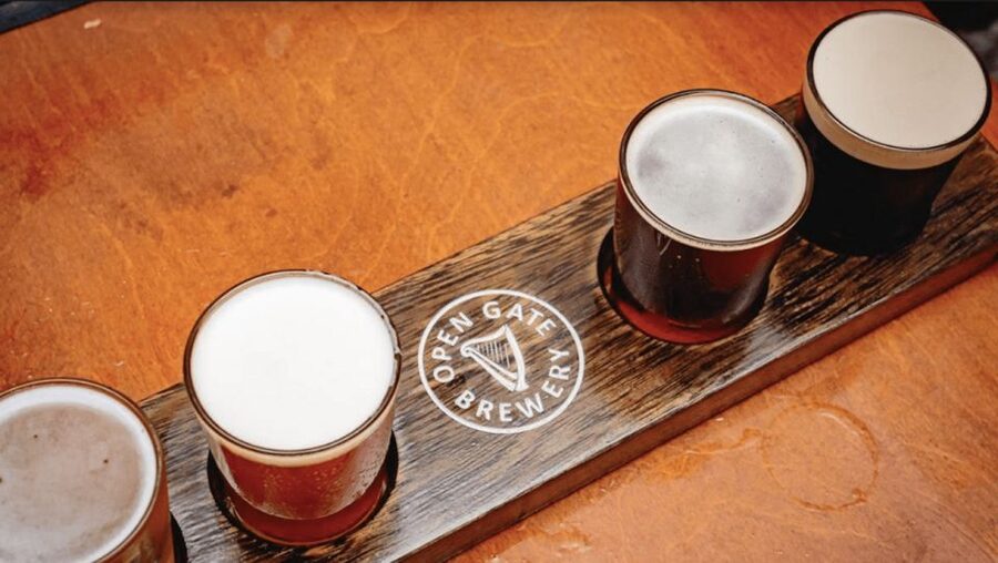 Dublin: Traditional Pubs Walking Tour with Local Guide - Price, drink costs, and the real value