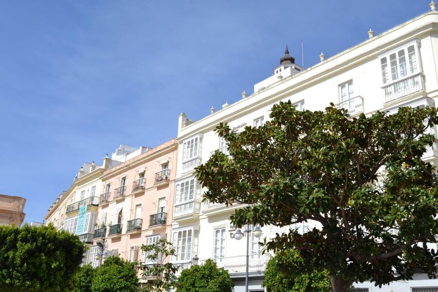 English Cádiz Tour: Walking Tour with Local Guide - The market, food, and advice you can use later