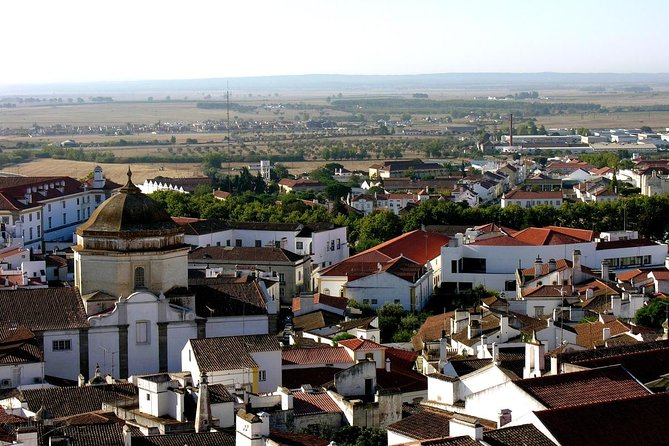 Évora: Private walking tour with tickets to main monuments - Why this 2.5-hour walk earns a place in your Évora plans