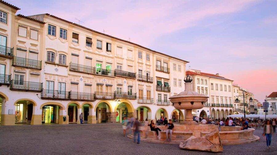 Évora: Private walking tour with tickets to main monuments - The guides make the difference
