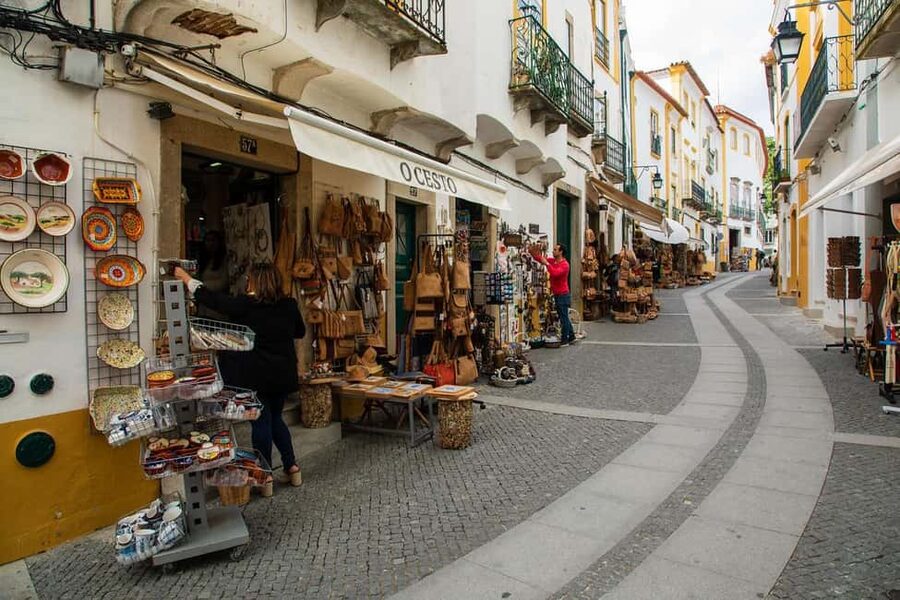 Évora: Private walking tour with tickets to main monuments - Pace, weather, and practical comfort