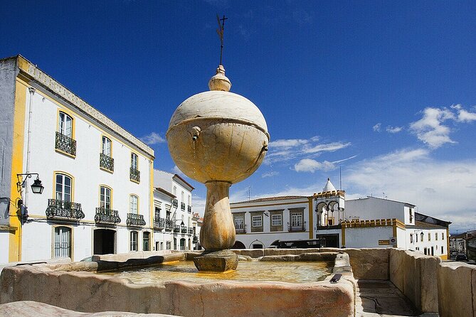 Évora: Private walking tour with tickets to main monuments - Meeting at Praça do Giraldo