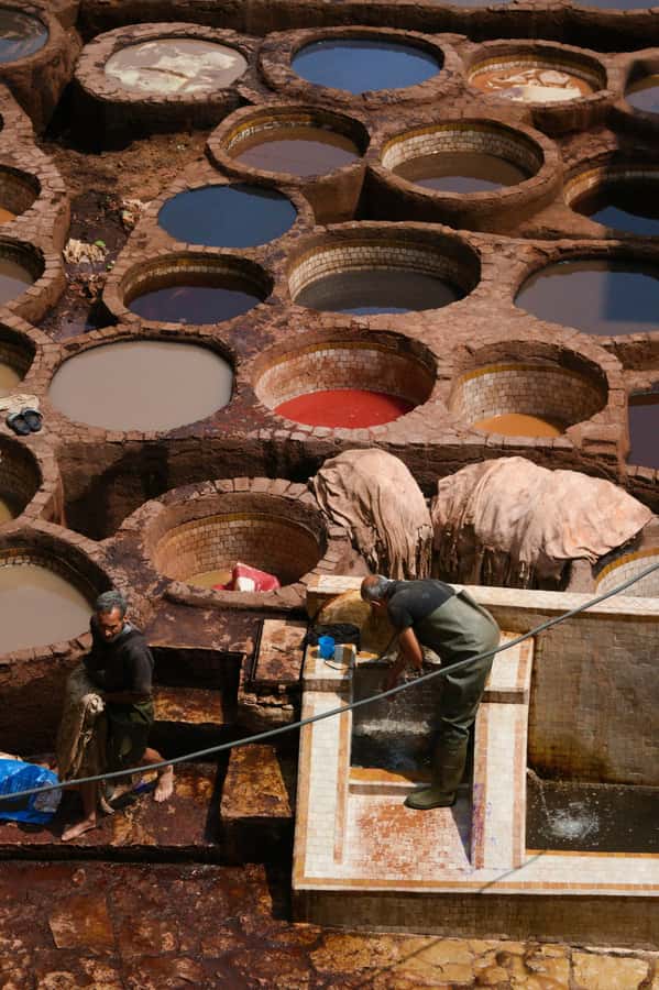 Fez: Guided Walking Tour of the Historic Medina - Who Should Book This Fez Walk?