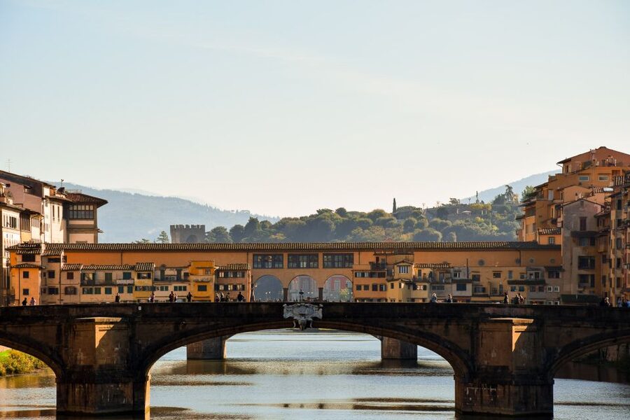 Florence: Mysteries of the Medici Guided Walking Tour - What the $31 price buys you