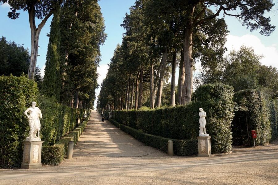 Florence: Pitti Palace Entry Ticket and Guided Walking Tour - Understanding the Medici home, not just the Medici art
