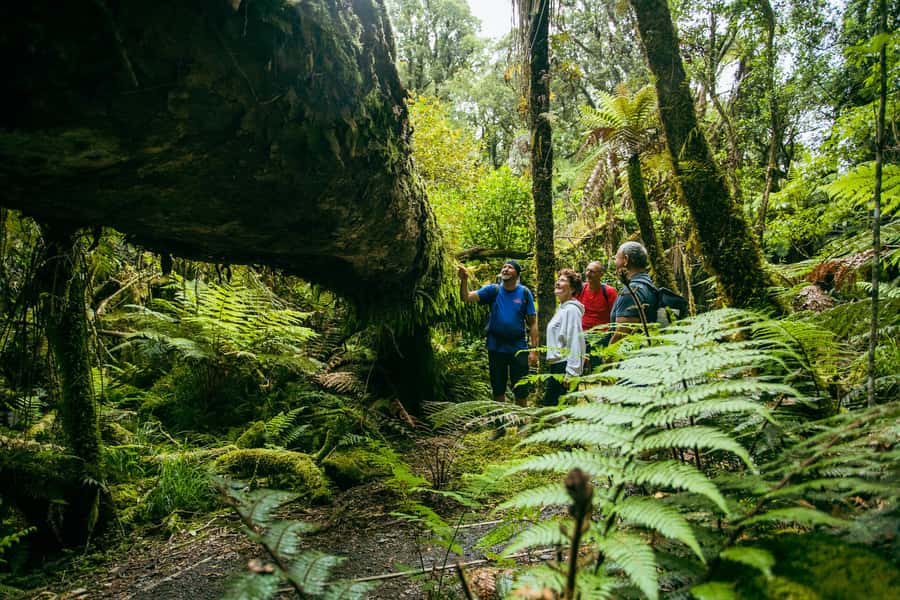Fox Glacier: Half Day Walking & Nature Tour with Local Guide - The riverbed break with hot drinks