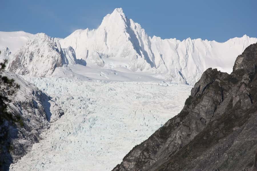 Fox Glacier: Half Day Walking & Nature Tour with Local Guide - The first steps through old rainforest