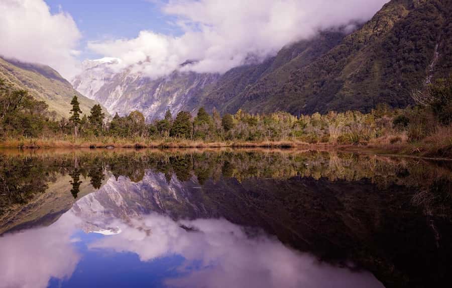 Franz Josef: Franz Josef Glacier Lookout Guided Walk - Entering ancient podocarp rainforest