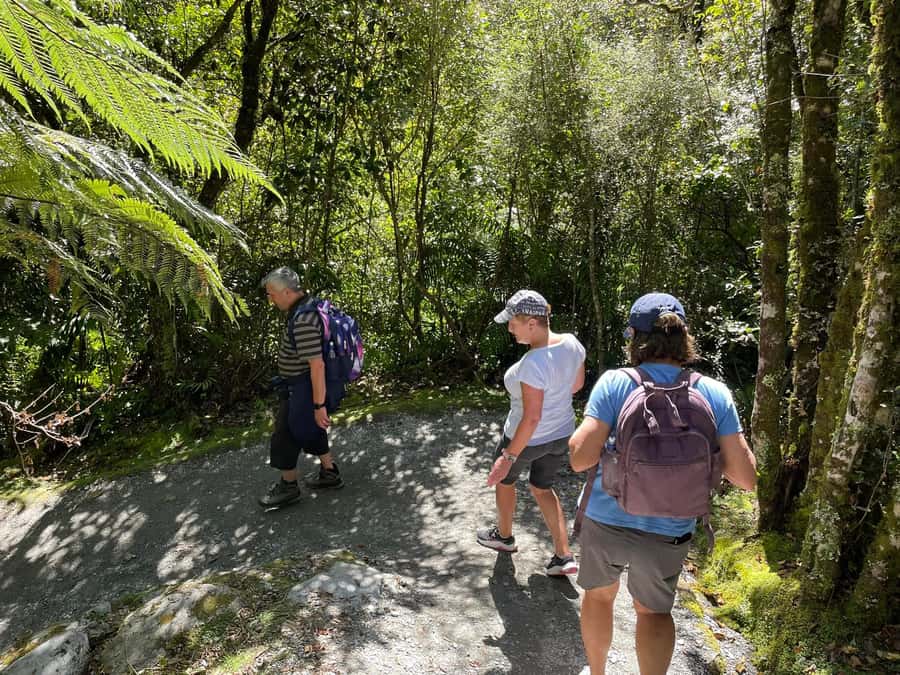 Franz Josef: Franz Josef Glacier Lookout Guided Walk - How much value do you get for $65?