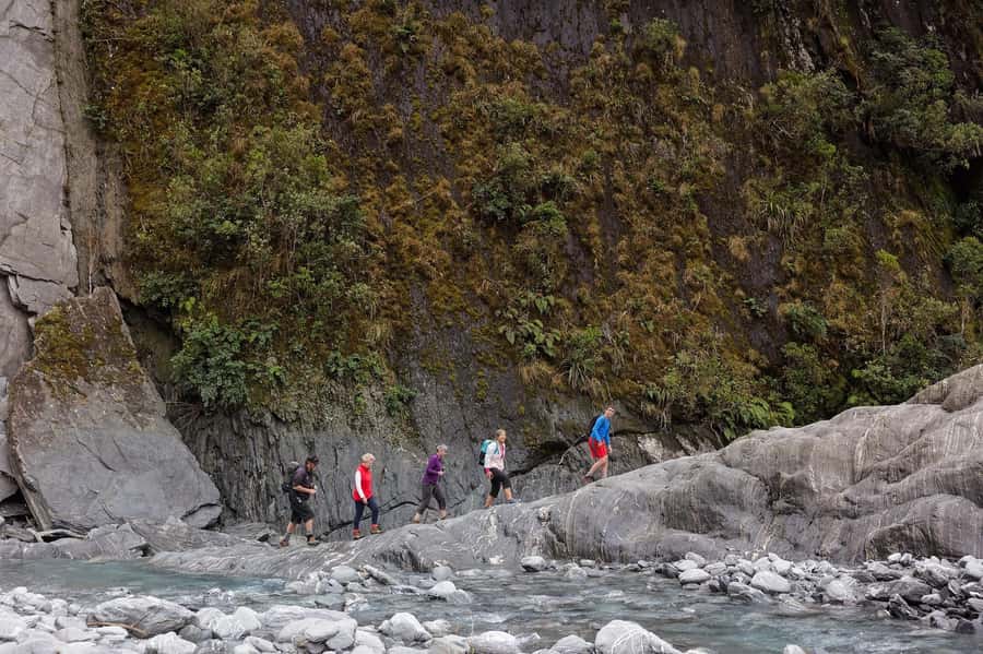 Franz Josef: Franz Josef Glacier Lookout Guided Walk - Starting beside Full of Beans Cafe