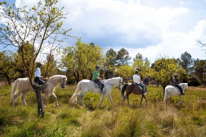 From Barcelona: Montserrat Walking and Horseback Riding Tour - Inside the Montserrat monastery