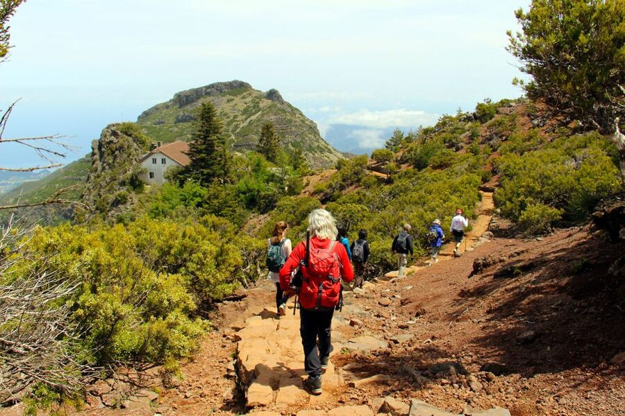 From Funchal: Madeira Peaks Mountain Walk - From Funchal to Pico do Arieiro