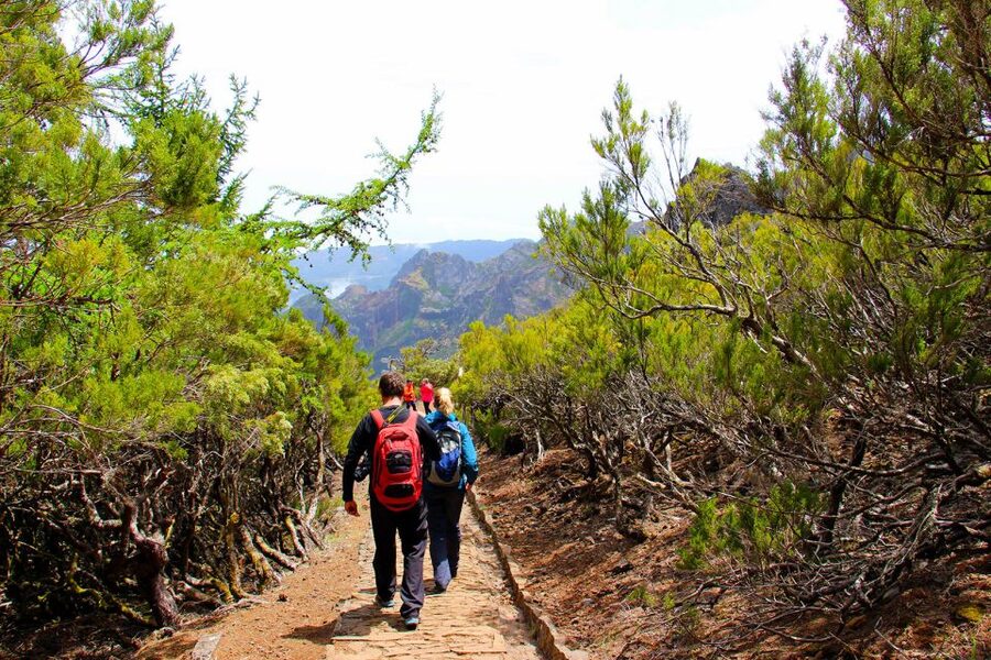 From Funchal: Madeira Peaks Mountain Walk - Pico Ruivo, Madeira’s highest point