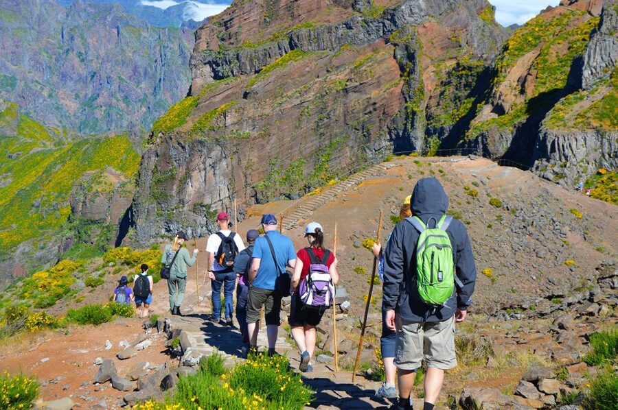 From Funchal: Madeira Peaks Mountain Walk - Who should book this walk?