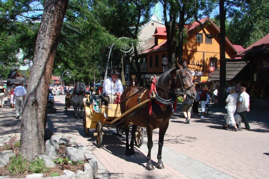 From Krakow: Slovakia Treetop Walk, Zakopane & Thermal Spa - Why this day trip works from Krakow