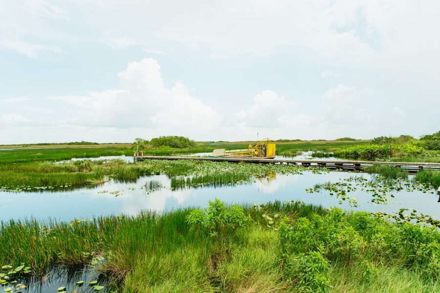 From Miami: Everglades Airboat Ride and Nature Walk - Key points to know before booking