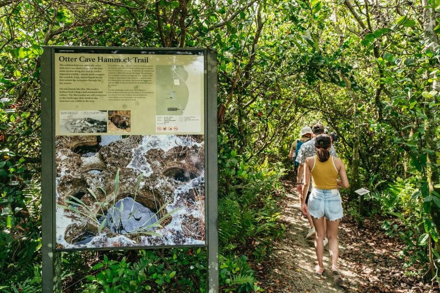 From Miami: Everglades Airboat Ride and Nature Walk - Should you book this Everglades experience?