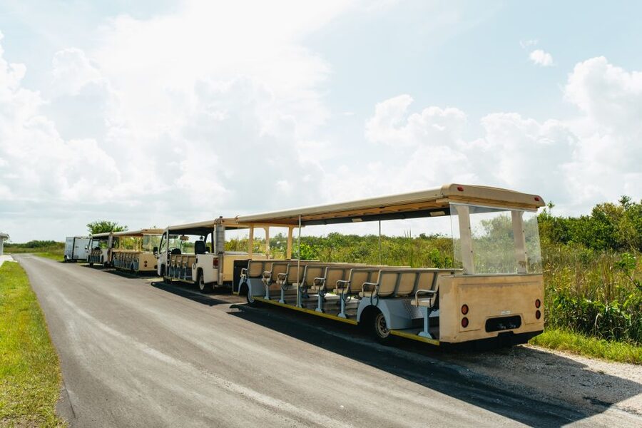 From Miami: Everglades Airboat Ride and Nature Walk - Why this Everglades tour feels different
