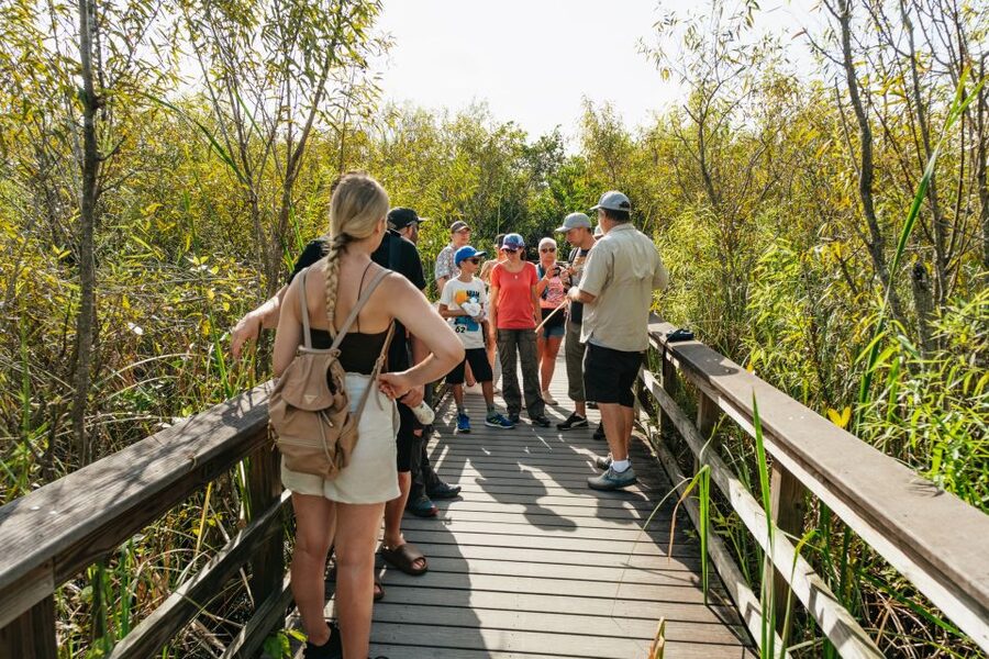 From Miami: Everglades Airboat Ride and Nature Walk - What the airboat ride adds