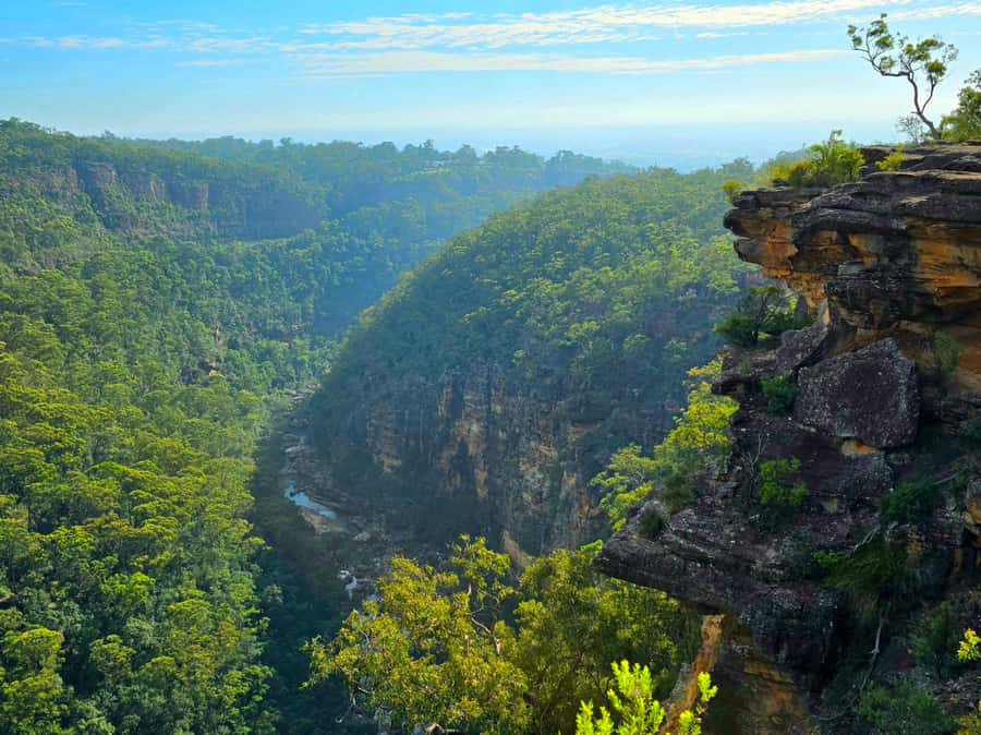 From Sydney: Blue Mountains Tour with Waterfall Walk & Lunch - Who should book this tour?
