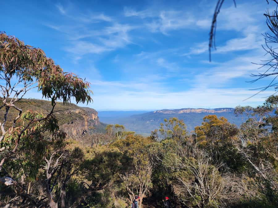 From Sydney: Blue Mountains Tour with Waterfall Walk & Lunch - Why Wentworth Falls is the star of the day