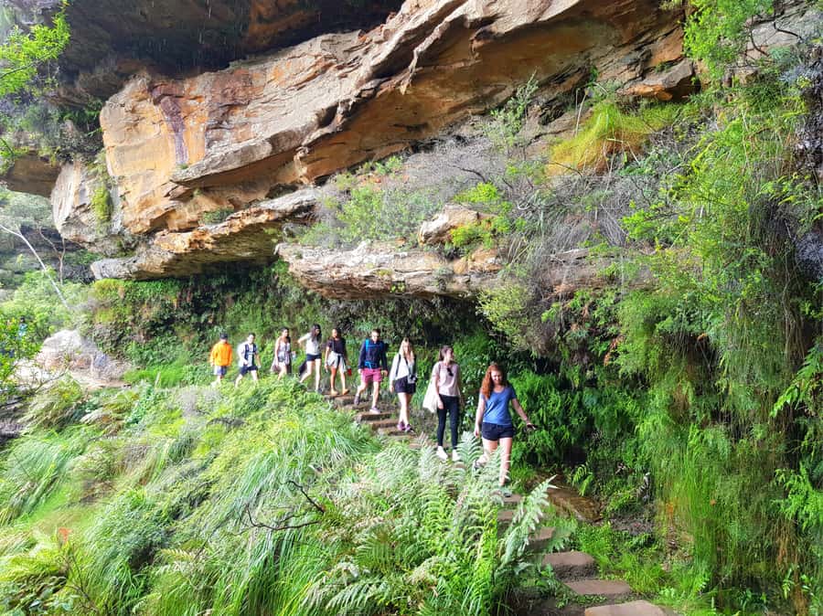 From Sydney: Blue Mountains Tour with Waterfall Walk & Lunch - Lookouts, waterfalls, and changing mountain weather