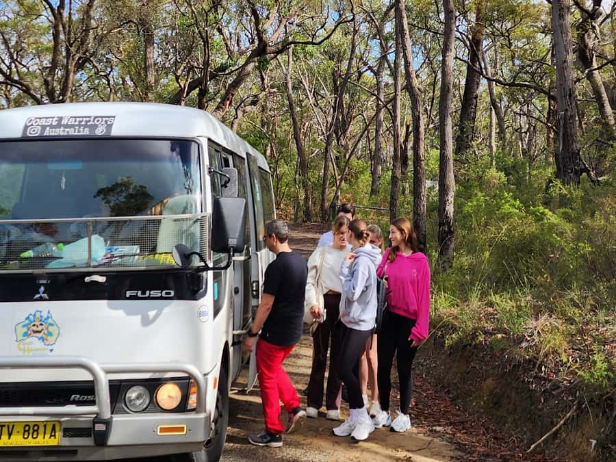 From Sydney: Blue Mountains Tour with Waterfall Walk & Lunch - What lunch really includes