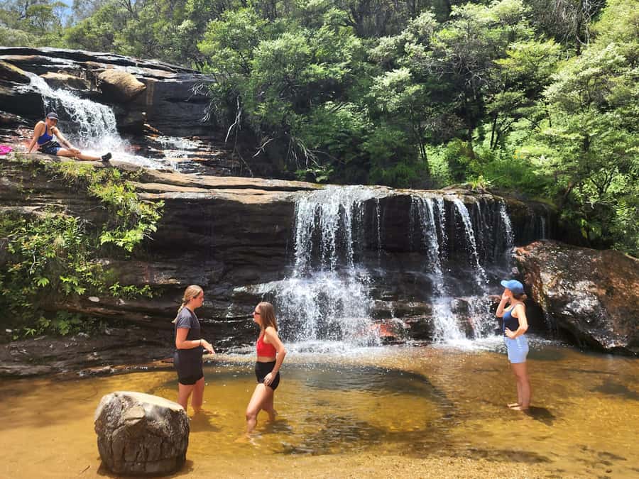 From Sydney: Blue Mountains Tour with Waterfall Walk & Lunch - Group size, comfort, and the real level of effort