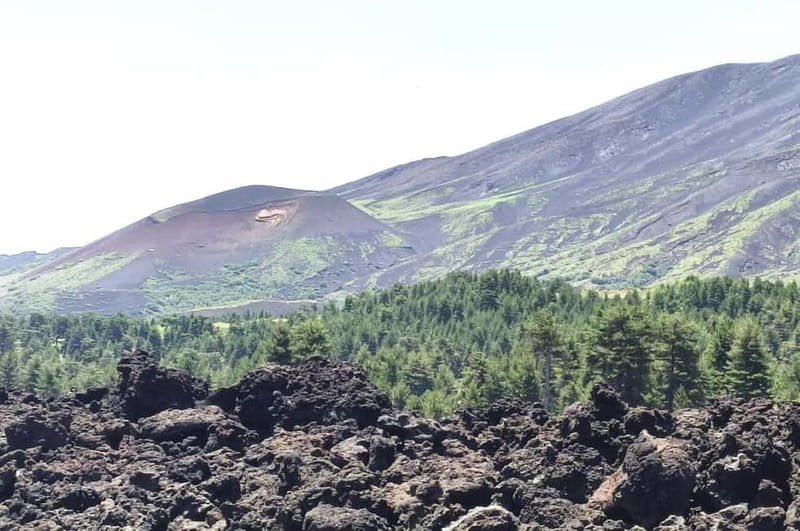 From Taormina: Etna Walking Tour and Wine Tasting in Winery - Why this Etna day trip works so well