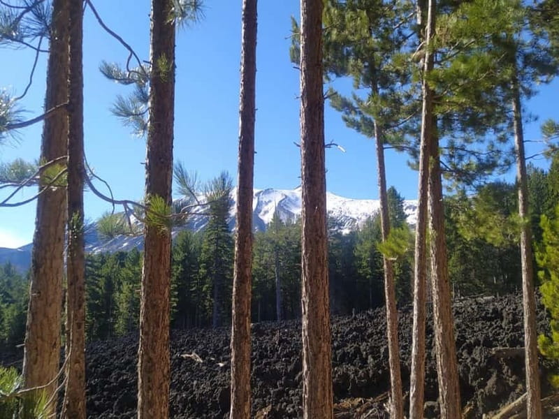 From Taormina: Etna Walking Tour and Wine Tasting in Winery - Leaving Taormina for the high slopes